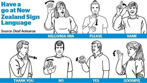Usign Classes Nz Sign Language Nzsl Newsletter Week 12 Term 2