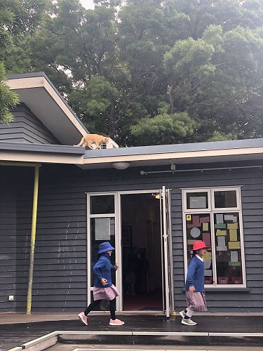 Keeping an eye from above