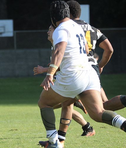 1st XV vs New Plymouth Boys' High School
