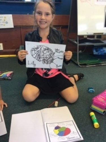 Lilly was delighted with her brain sketch!