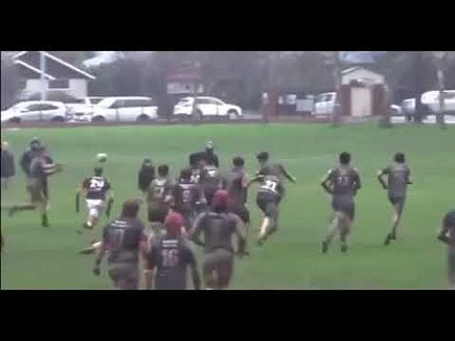 Video: video 1659820983