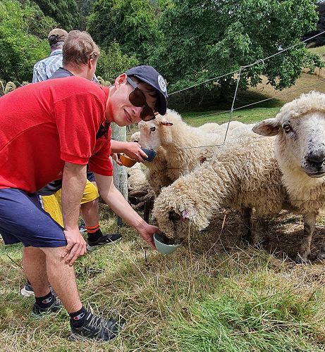 Learning and Support Class trip to Iconic Farms