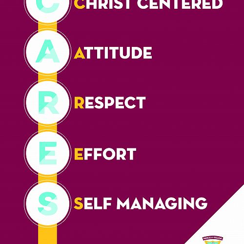 Roncalli Cares Values