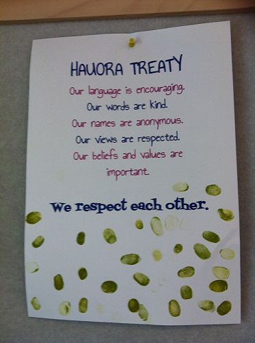 Harakeke - Hauora Treaty