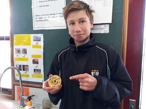 Josh Caldwell & neon