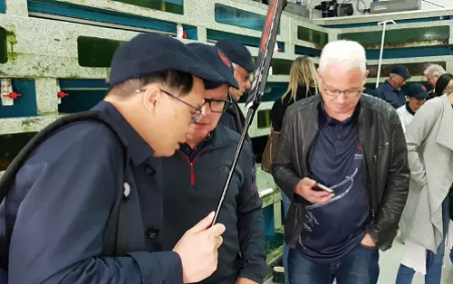 Amongst the tanks in a customer's shop at the Jiang Yang live seafood market.