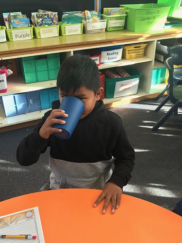 Milkshakes, Rm 3 - T2 2019