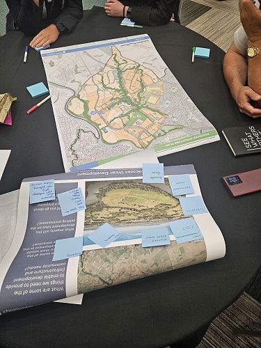 Problem solving sessions - the development of a new neighbourhood - Peacocke, Hamilton