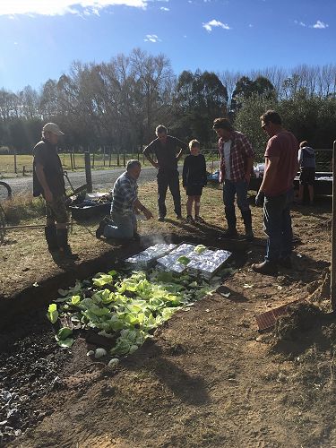 Cabbage leaves were laid over the hot irons and stones to prevent burning the food.