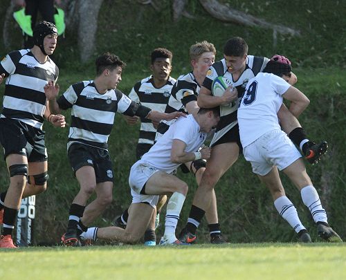 1st XV vs New Plymouth Boys' High School