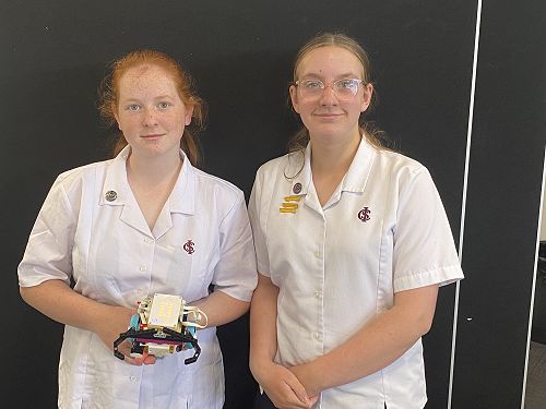 Second in the school Sumo Robot Championships