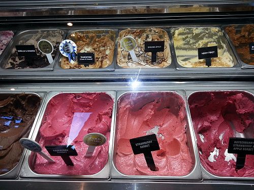 Gelato in New Zealand |  Patagonia หรือ Kapiti ให้นักเรียนลองชิม