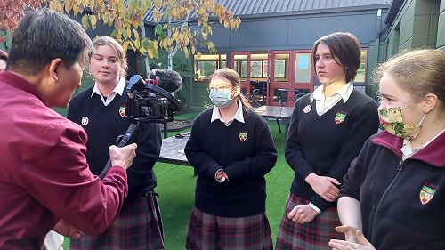 The National Flower of South Korea - Mugunghwa