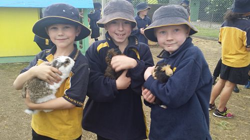 Eithan, Lockie and Pilot