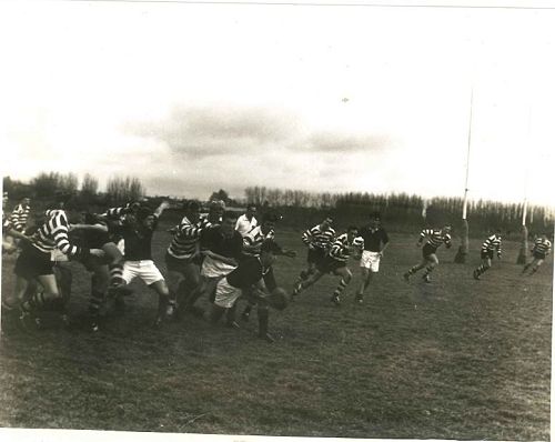 1963 1st XV