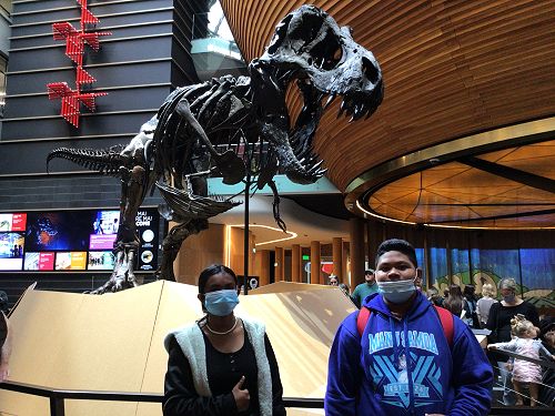 T-Rex at Auckland Museum