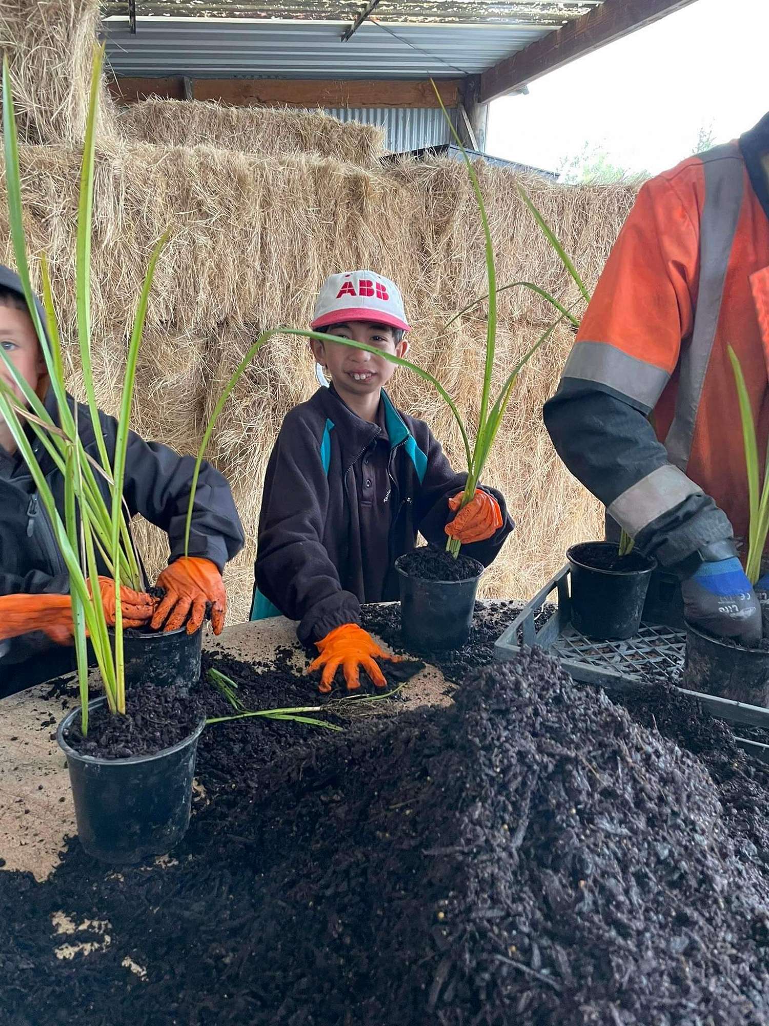 Tauhara Primary School