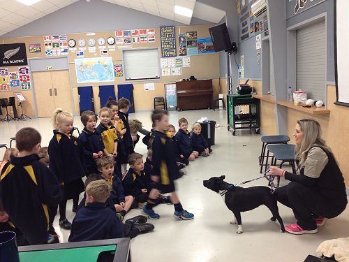 Room 4 and 4a meeting Stevie the dog