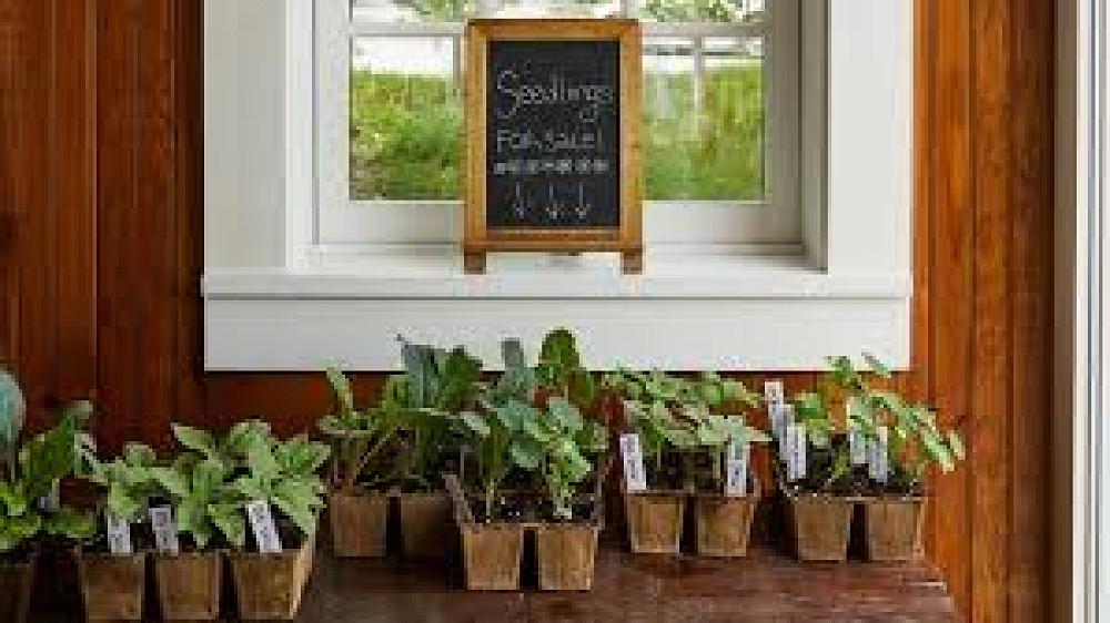 Garden Club Plant Sale