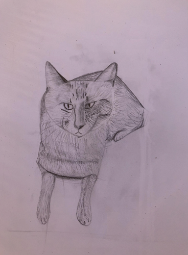 Annie Lentjies, 10PEC 