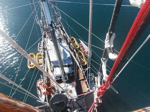 Spirit of New Zealand