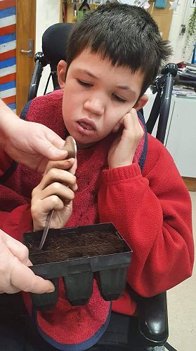 Fraser getting ready to plant seeds.