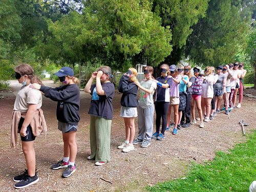 Stars Tahi Mahi Days 2022