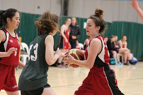 Tournament Basketball