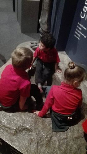 Team Awa's Visit to the Art Gallery and Museum