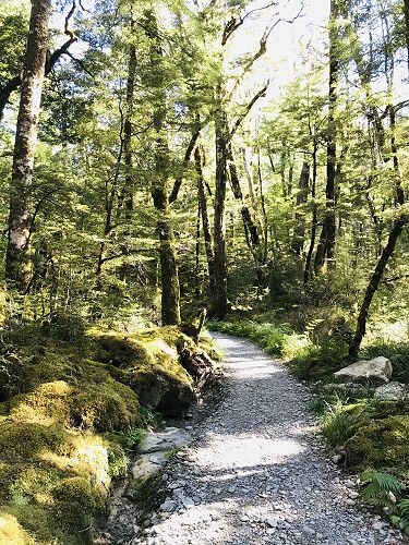 Inter-House Photography Competition