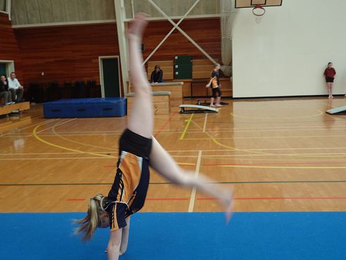 Gymnastics Festival 2016