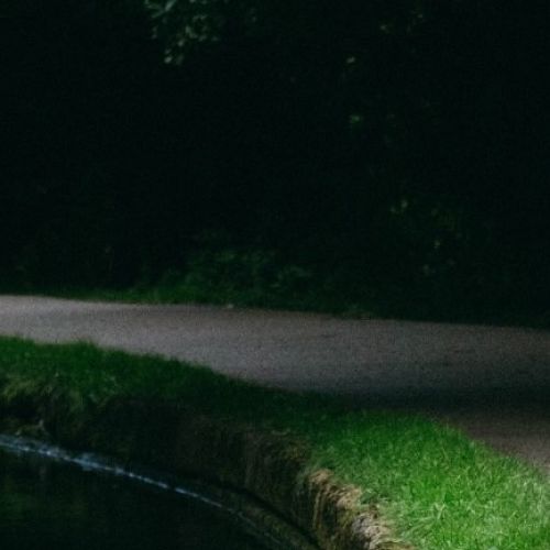 Powerful Benefits of Exercise for Teens