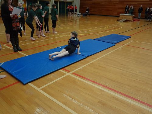 Gymnastics Festival 2016