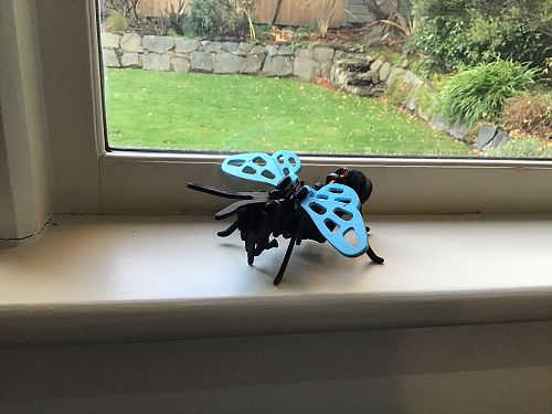 Craft: Junior School 1st Place - Emily McElhone