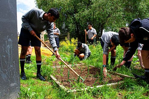 Year 10 Horticulture 