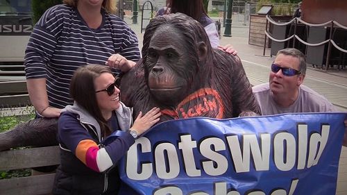 Video: 2017 Farewell Year 6