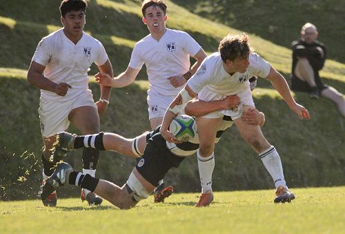 1st XV vs New Plymouth Boys' High School