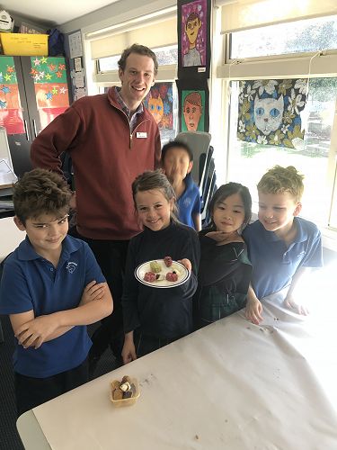 Delicious Food - Mid Autumn Festival