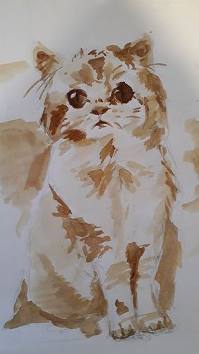 Methuli Perera, 10LNM 