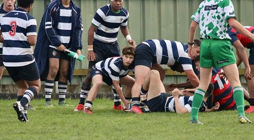 2nd XV v Hastings Boys' High School