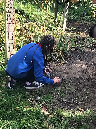 STEAM - Terrarium Making - Team Harakeke