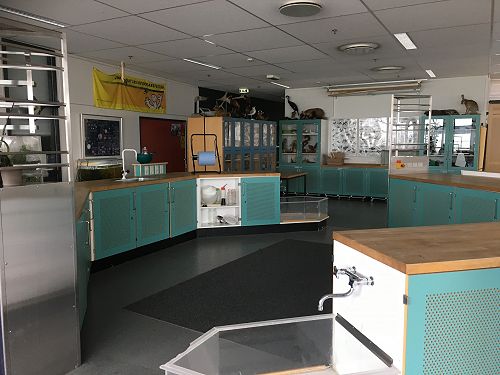 Hellerup Skole, Copenhagen