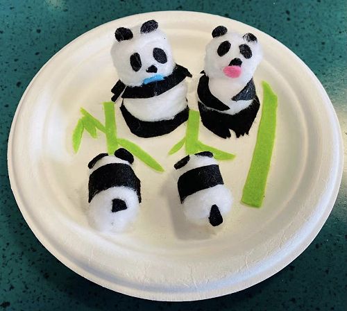 Damon, Ms Ding's son's Pandas