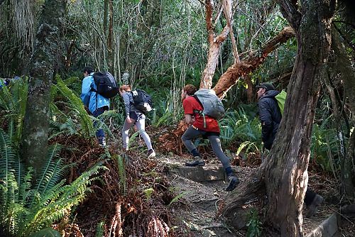 










Climbing Little Mount Peel


