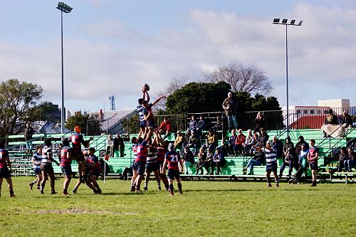 2nd XV v Hastings BHS
