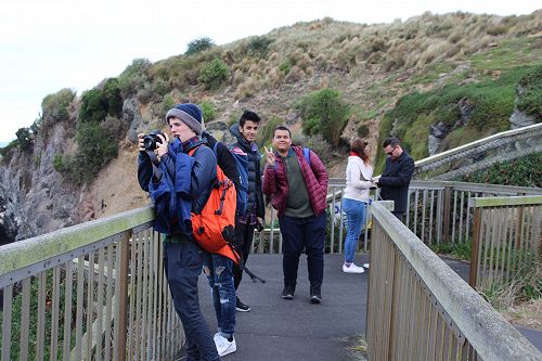 International Albatross Trip 