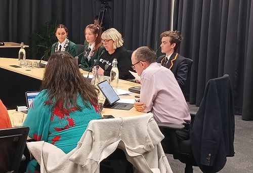 Ms. Kimberley Fridd (John McGlashan) speaking at the DCC Council Chambers