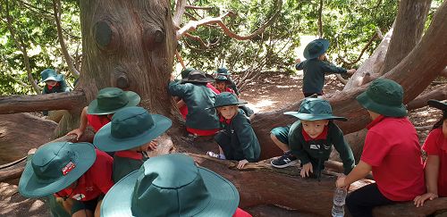 Awa's Trip to the Canterbury Museum