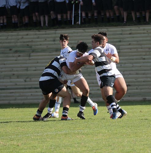 1st XV vs New Plymouth Boys' High School