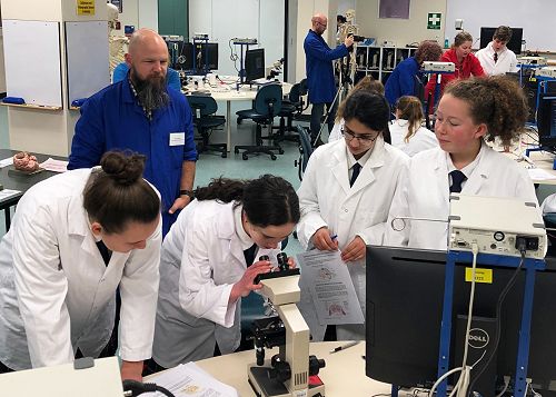 BrainBee Neuroscience competition 2019